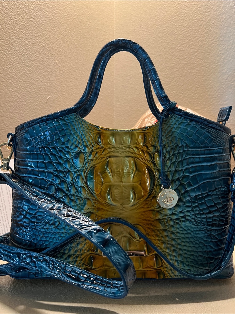 Brahmin Small Elaine Bermuda Ombre bag